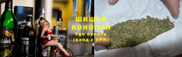 СК Каменка
