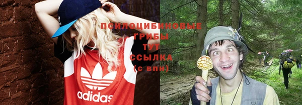 бутират Каменск-Шахтинский