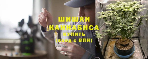 СК Каменка