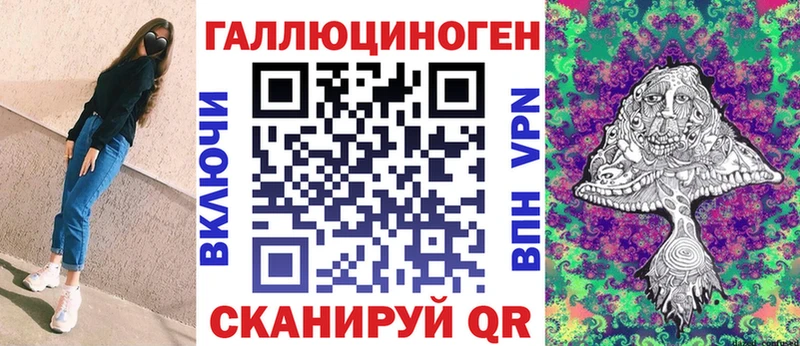 Купить где  Далматово  Галлюциногенные грибы Psilocybine cubensis 